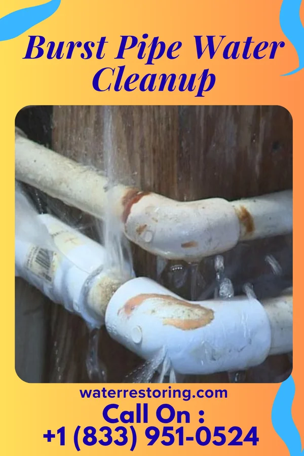Burst Pipe Water Cleanup in Montgomery, TX
