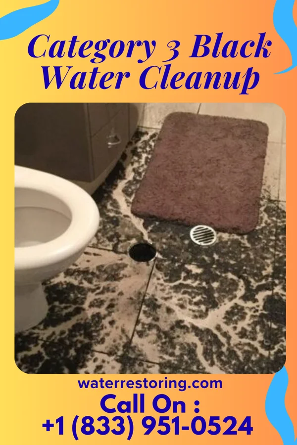 Category 3 Black Water Cleanup in Montgomery, TX