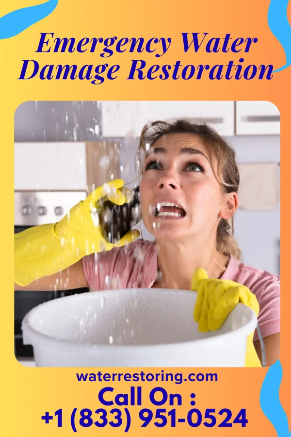 Emergency Water Damage Restoration in Montgomery, TX