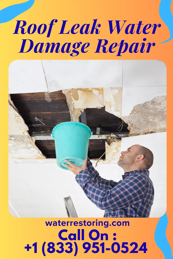 Roof Leak Water Damage Repair in Montgomery, TX